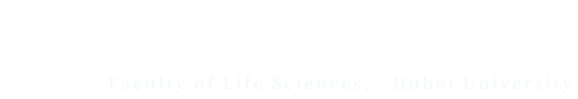 英国上市公司365